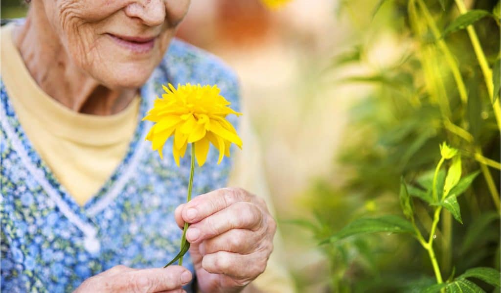 Senior woman smelling flower
